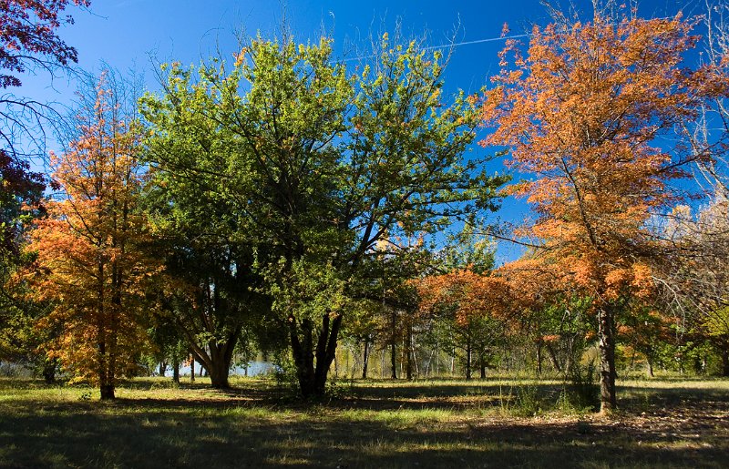autumn 2.jpg